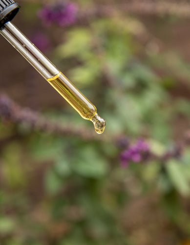 שמן אזוב בטפטפת