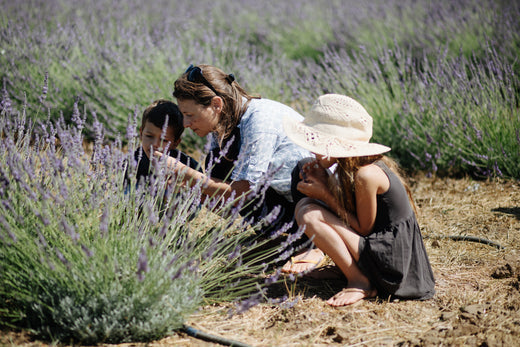 צמחי מרפא לילדים
