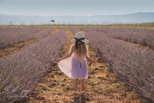 ילדה עומדת בשדות לבנדר